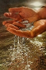 UPM Researchers Characterize Environmental, Health Risks from Mercury Usage in Artisanal Gold Mining