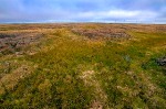 Warming Temperatures Will Return Less Soil Carbon to the Atmosphere than Currently Predicted