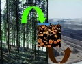 Humankind Will Give Something Back to Nature