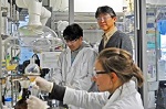 Researchers at Tokyo Tech Develop Efficient Light-Harvesting System Based on Natural Photosynthesis
