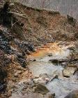 Mining in Headwaters Can Affect Fish Habitats Downstream