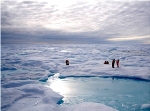 Study Reveals Historic Emergence of Ice in the Arctic Ocean