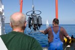 Climate Change Buffers against Protection Measures for the Baltic Sea