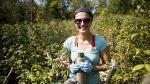 Logging Triggers Gradual Release of Carbon Stored in Forest's Mineral Soils