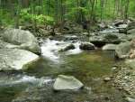 Rising Air Temperatures Cause Warming of Chesapeake Bay Region Streams