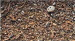 SELFRAG Develops Innovative Process for Commercial Recycling of Incinerator Slag