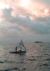 Strong Pacific Trade Winds May Be Helping Prevent Rise in Global Temperatures