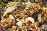 CPI Project Aims to Transform Food Waste into BioGas for the Production of Renewable Hydrogen and Graphene