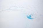 Atmospheric Warming May Affect Critical Zone at the Base of the Ice