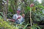 Insect Herbivores Find and Feast on One Kind of Plant in Their Local Ecosystem