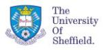 University Of Sheffield Research Reveals Marine Ecosystems in Danger Due to Neglect