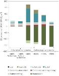 Biomass Electricity Production Combined with Carbon Capture and Sequestration Could Contribute to Zero-Carbon Future