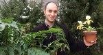 Plants Have Been Resilient to Mass Extinction Events