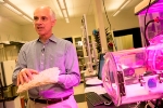 Capturing Excess Carbon Dioxide is a Viable Strategy for Reducing Greenhouse Gases