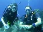 Corals May Be Better Equipped to Tolerate Climate Change