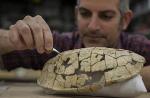 Turtles of Tropical Wyoming Provide Climate Change Clues