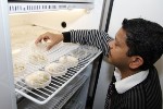 Climate Change Affects Crop Production