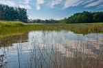 Conservation Organizations Must Be Bolder in Adaptation Efforts to Address Extent of Ecological Changes