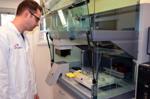 New Technique Could Help Generate More Sustainable Biofuels