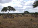 Six Natural Science Principles Identified to Ensure Success of Payments for Ecosystem Services Initiative