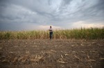 New Study Reveals that Weakening of Summer Storm Intensifies Heat Extremes