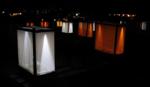 Light Pollution Affects Wildlife and Ecosystems