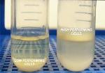New, Mutant Yeast Strain Could Improve Efficiency of Biofuel Production