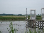 Human Intervention Affects Climate Footprint of Wetlands