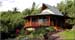 Musicians to Construct Cutting-Edge Houses Built from Bamboo