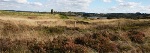 Natural, Anthropogenic Disturbances Can Reduce Resistance of Ecosystems to Changing Climatic Conditions