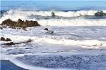 Bacteria Contribute to Efficient Carbon Storage in the Ocean