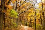 Microclimates in Central Appalachia Will Respond to Global Climate Change in Very Local Ways