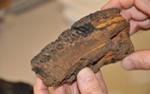 German Marine Scientists Reconstruct Variations in Past Arctic Climate