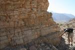 Study: Ocean Acidification Caused the Earth's Greatest Mass Extinction