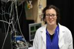 Researchers Discover Switch That Regulates Plant Photosynthesis, Could Boost Biofuel Production