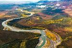 Loss of Species Diversity Affects Productivity of Remaining Plants