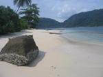 Fossil Record Finds Tropical Marine Ecosystems to be at Greatest Risk from Human Impact