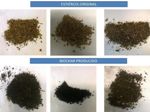 Biochar to Increase Crop Yields Obtained Using Manure Waste