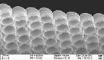 Metal Oxide Nanostructures Explored as Efficient Catalyst Materials for Artificial Photosynthesis