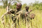 Ecologists Develop New Method to Better Identify Poaching Threats in Protected Areas