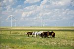 Iberdrola Renewables to Supply Energy from Twin Buttes II Wind Project to Tri-State
