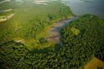 VCU Researchers to Use Newly Developed Metrics to Study Impact of Ecosystems on Climate