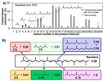 Researchers Develop New Method for Converting Squalene to Gasoline or Jet Fuel