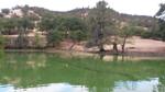 Toxic Algal Blooms in Klamath River Dams Create Unsafe Water Conditions