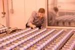 Donald Danforth Awarded $8 Million Grant to Accelerate Development of Bioenergy Sorghum