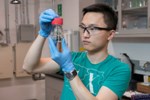 Stanford Researchers Develop Water Splitter for Production of Clean-Burning Hydrogen Fuel