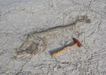 Scientists Reveal Story of Dramatic Climatic Change in Southern Sahara