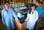 Innovative Energy Cell Stores Solar Energy Even At Nighttime