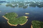 Hydroelectric Dams Have Drastic Effects on Tropical Rainforest Biodiversity