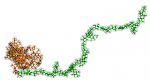 Lignin–Hemicellulose Holds a Promising Way to Engineer Better Plants for Biofuel
